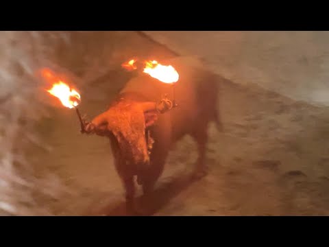 TORO EMBOLADO EN ESTE AÑO 2023 BURRIANA, MARTES 5 DE SEPTIEMBRE