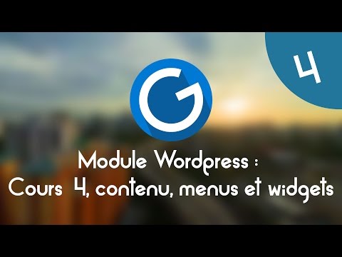 Formation IMM Module Wordpress Cours tuto 4 contenu menus et widgets