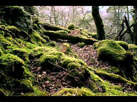 Keistuoliai - Už girių, už kalnų