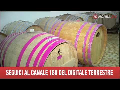 ALEZIO: NOTTE ROSA DEL GOLFO