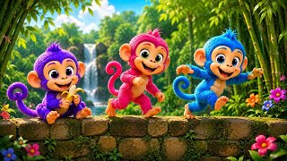 Download lagu Monyet rebutan makanan, monyet ketawa, monyet mandi, monyet lucu, monyet joget, video monyet viral mp3