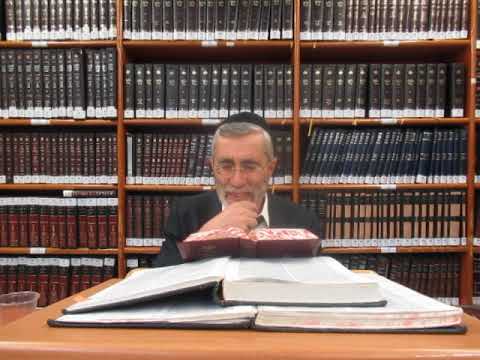 הרב יהושע ביבי - תשפ"ו - עמידה - דרוש ב -שיעור מס' 085 -  זיווג דאו''א בתיבת אבותינו והנפ''מ לקו''ה