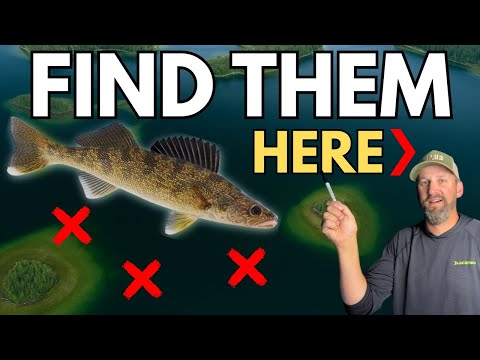 How to Find Walleyes in ANY Lake at ANY Time of Year (5 Easy Steps!)