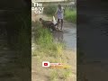 2 Ladies Fighting Over A Guy Shorts Short Abuja Lagos