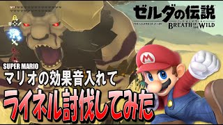 【ゼルダの伝説#1】ライネル討伐の巻 ～スーパーマリオ( SUPER MARIO BROTHERS )風～