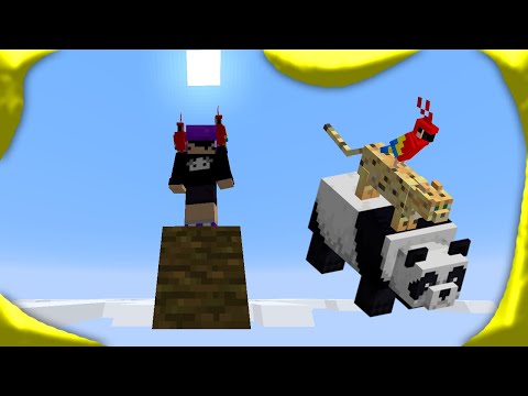 minecraft num bloco só com um zoológico lol