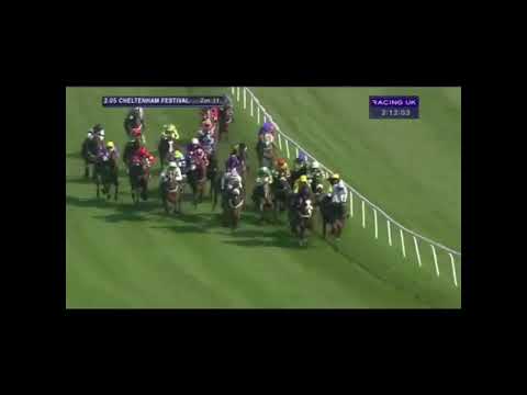 2014 Vincent O'Brien County Hurdle - Cheltenham Festival