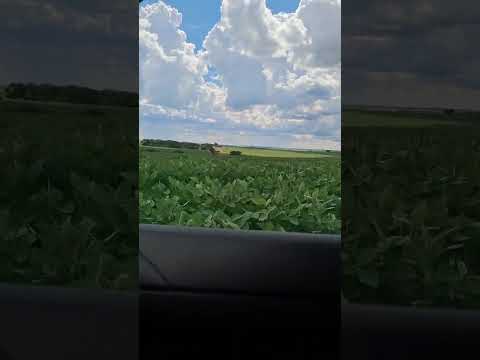 Plantio soja 2026 Terra Roxa SP #johndeere #soja #saopaulo #agro #farming #soyabean #plants #plantio