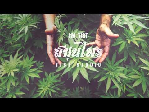 I'M TI$T - สมุนไพร - TIST STUDIO