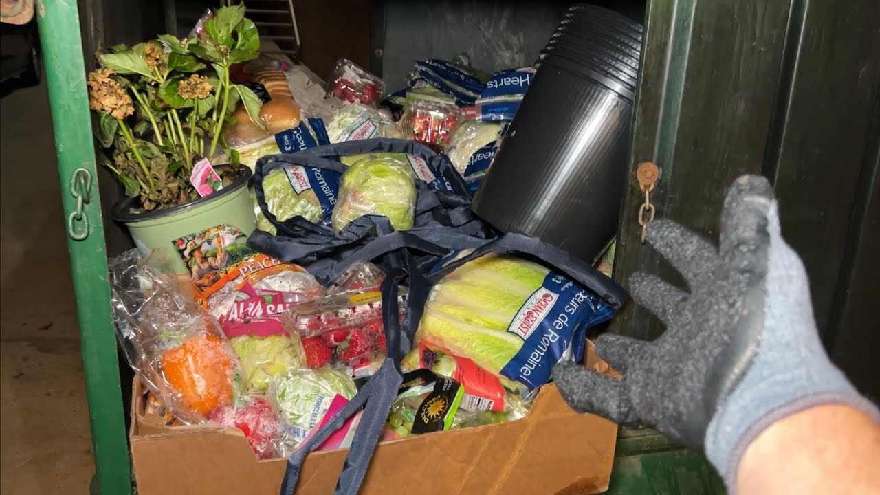 Dumpster Diving Aldi #181 Free Grocery Shopping!