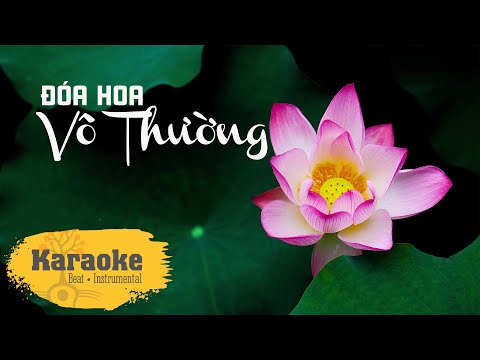 Đóa hoa vô thường - Trịnh Công Sơn Karaoke Beat Instrumental by Trịnh Gia Hưng | Emotiony