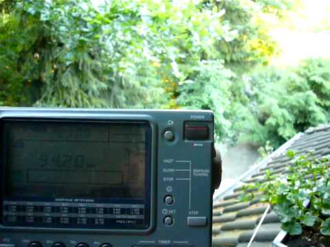 FM-DX (Tropo) 01.06.2009: NRK P1 Bjerkreim, NOR in Geeste - 623km (1)