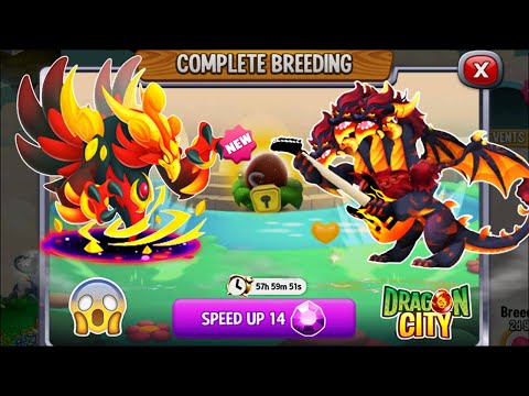 Dragon City: Phoenix Eternal Dragon vs Cerberus Dragon [EXCLUSIVE BREEDING] 😱