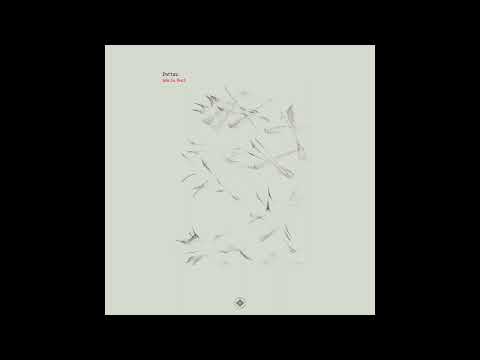 Pattrn - Grain Blanc