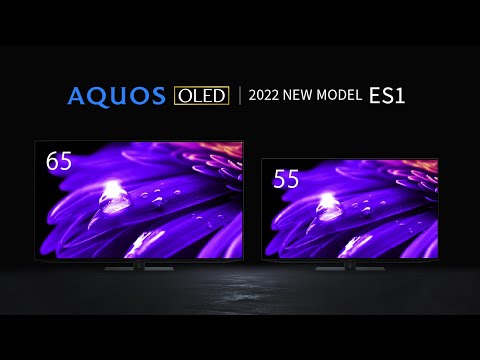 有機ELテレビ AQUOS(アクオス) 4T-C65ES1 [65V型 /4K対応 /BS・CS 4K