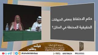 صورة حكم الاحتفاظ ببعض الحيوانات الحقيقية المحنطة في المنازل؟ للشيخ ابن باز - مشروع كبار العلماء