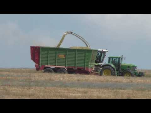 Claas Jaguar 980 Typ 498 mit Direct Disc 610 rast durchs Getreide GPS