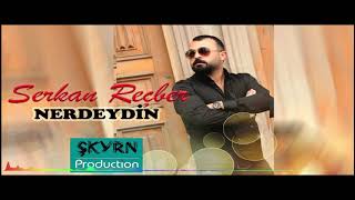 Serkan Reçber Nerdeydin 2020