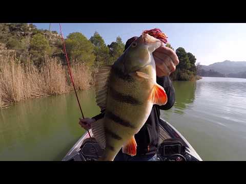 The Perch Hunter / Manolo Twin Spinner by Ruben Tarazona