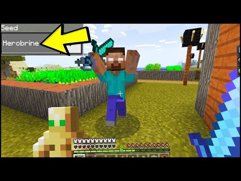 Minecraft /Herobrine ci vuole morti!