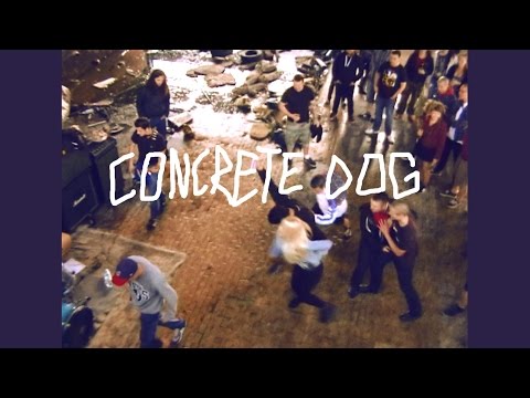 CONCRETE DOG 24-08-2014