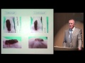 12th Annual John F Hansbrough Memorial Lecture.