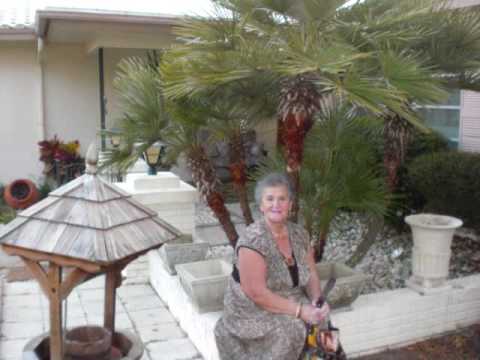 AMER CENGIC - OCI MOJE MAJKE