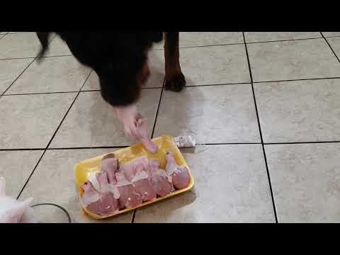 download lagu mp3 mp4 How Much Raw Food To Feed A Rottweiler, download lagu How Much Raw Food To Feed A Rottweiler gratis, unduh video klip How Much Raw Food To Feed A Rottweiler