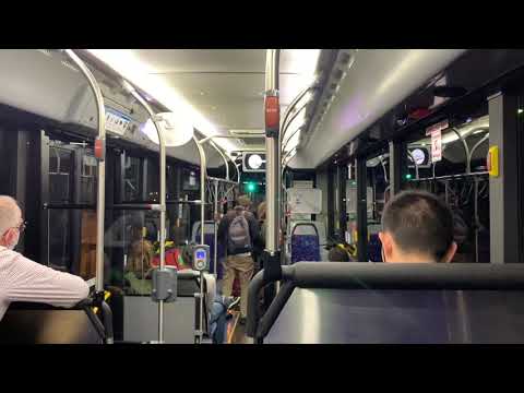 Transit Systems Sydney m/o 8134 - Volvo B8RLE (ZF EcoLife)