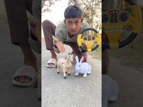 Remote Control Amar 1 Ta Horse 🐎 & 1 Ta Rabbit 🐇 Unboxing