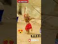 New Monkey Dance In Panjabi Song Very Funny