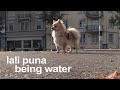 Lali Puna: Being Water