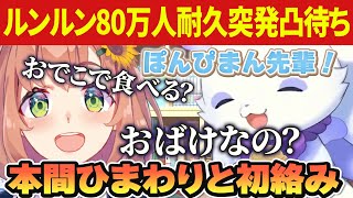 【突発凸待ち】80万人耐久凸待ちに来てくれた本間ひまわりと初絡みでドキドキにこにこのるんちょま【ルンルン/本間ひまわり/るんちょま/にじさんじ切り抜き】