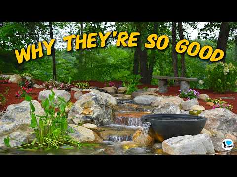HOW A WETLAND FILTER WORKS