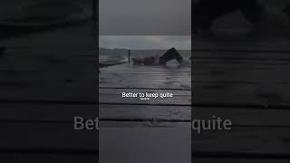 Download lagu ketika tak seorang pun mengerti || suasana legenda #shorts #statusWhatsApp mp3 Download lagu ketika tak seorang pun mengerti || suasana legenda #shorts #statusWhatsApp mp3