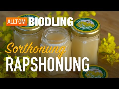 Rapshonung - Sorthonung - Honung