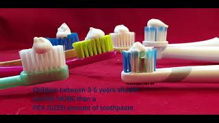 Toothbrushing - What the Professionals Advise