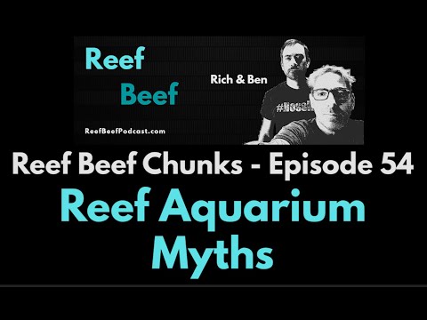 Reef Aquarium Myths - Reef Beef Chunks
