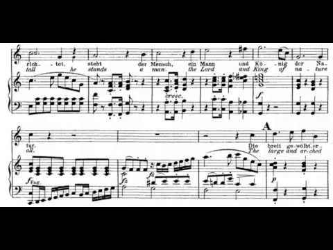 22 & 23.- In native worth and honour claid (The Creation - J. Haydn) Score Animation