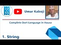 1 Dart Programming Language In Hausa Hausa