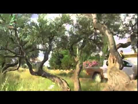 اشتباكات بين عناصر لواء الرشيد وميليشيات الفوعة في الفوعة