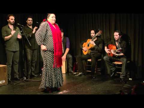 CASA PATAS 56 MANUELA HEREDIA