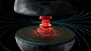 Cîmpul magnetic al Pămîntului 