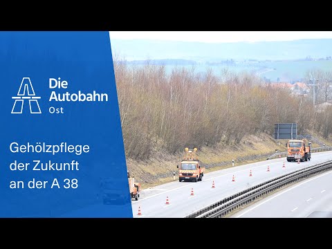 Dreifelderwirtschaft fürs Gehölz