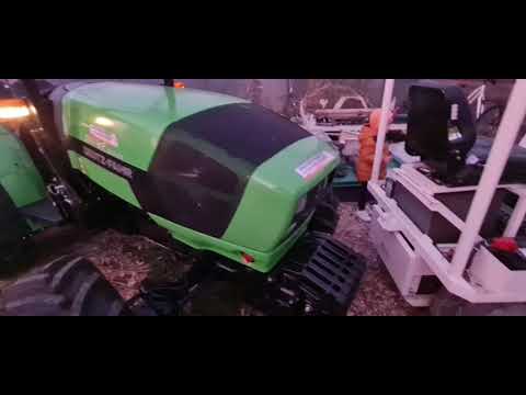 De la 50 la 80 de cai FRUMOSI