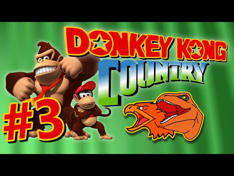 TaP FAIL @ Donkey Kong Country #3: Mine Cart, or Mein Kampf?