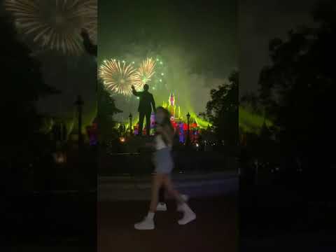 Disney land fireworks