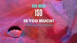 How much ISO is Too much in photography?