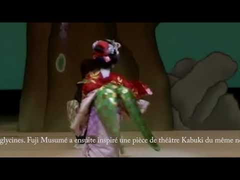 仏教学科 藤娘４