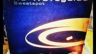 The Waveguide - Sweetspot : Beatfreakz Rmx (Hard House) 2002